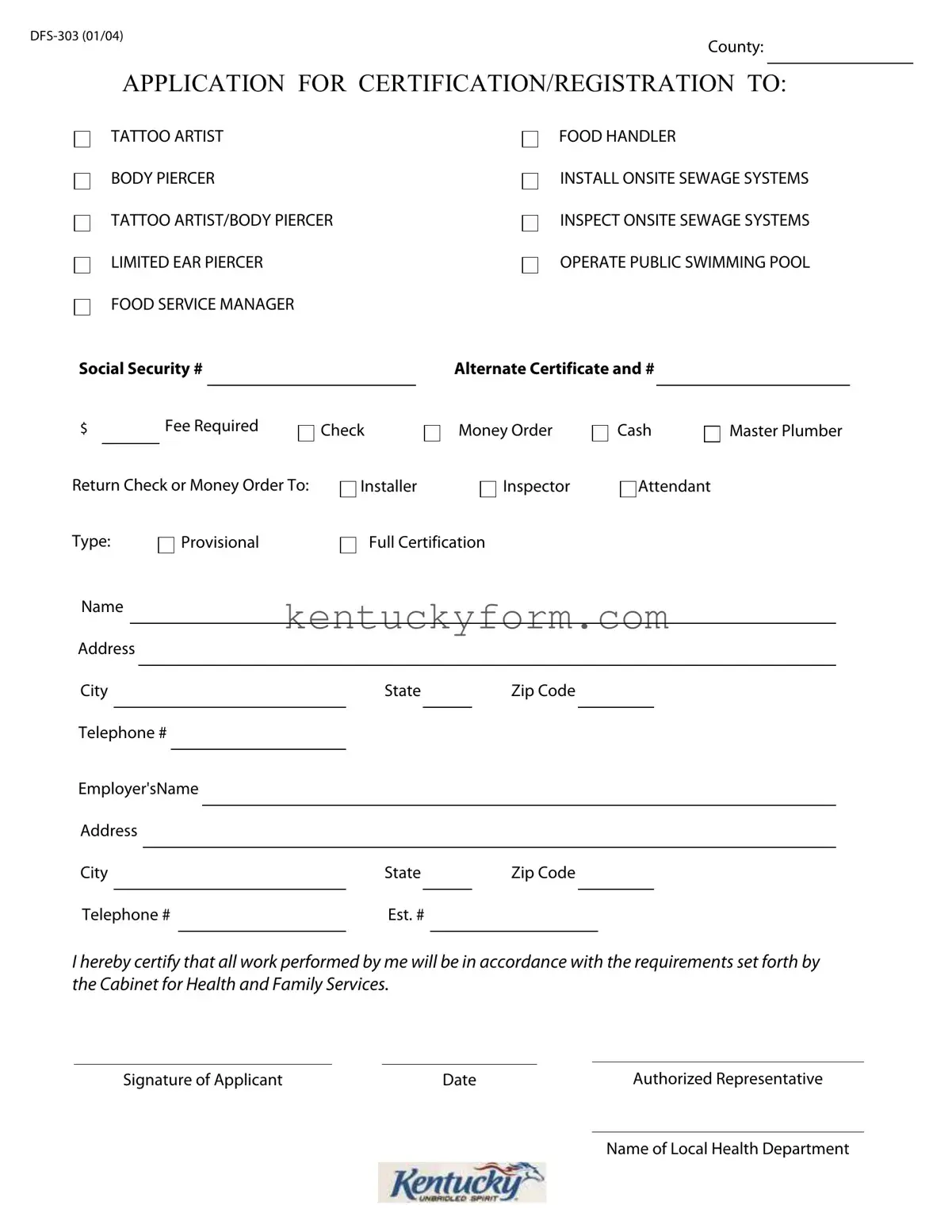 Dfs 303 PDF Template